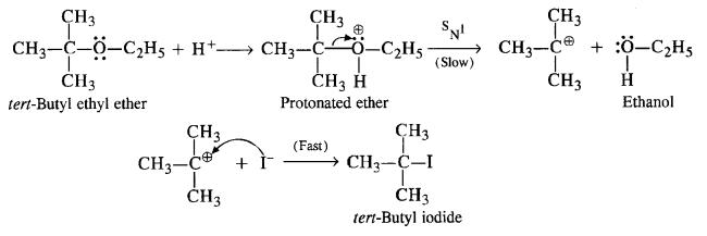 NCERT Solutions for Class 12 Chemistry Chapter 12 Aldehydes, Ketones and Carboxylic Acids t33