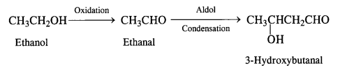 NCERT Solutions for Class 12 Chemistry Chapter 12 Aldehydes, Ketones and Carboxylic Acids te51