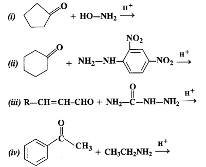 NCERT Solutions for Class 12 Chemistry Chapter 12 Aldehydes, Ketones and Carboxylic Acids te8
