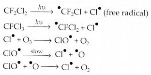 NCERT Solutions for Class 12 Chemistry Chapter 7 The p-Block Elements 31