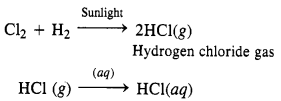 NCERT Solutions for Class 12 Chemistry Chapter 7 The p-Block Elements 35