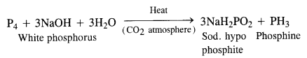 NCERT Solutions for Class 12 Chemistry Chapter 7 The p-Block Elements 4