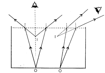 NCERT Solutions for Class 12 Physics Chapter 9 Ray Optics and Optical Instruments 30