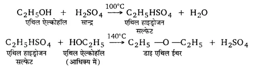 UP Board Solutions for Class 12 Chemistry Chapter 11 Alcohols Phenols and Ethers 6Q.3.9