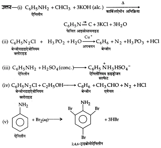 UP Board Solutions for Class 12 Chemistry Chapter 13 Amines 51