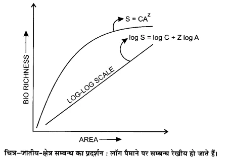 UP Board Solutions for Class 12 Biology Chapter 15 Biodiversity and Conservation Q.4