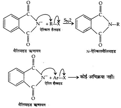 UP Board Solutions for Class 12 Chemistry Chapter 13 Amines 53