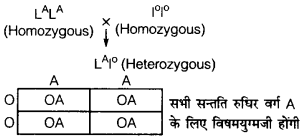 UP Board Solutions for Class 12 Biology Chapter 5 Principles of Inheritance and Variation 4Q.2.2
