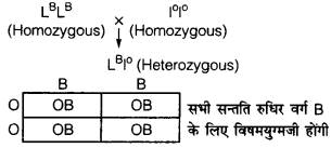 UP Board Solutions for Class 12 Biology Chapter 5 Principles of Inheritance and Variation 4Q.2.3