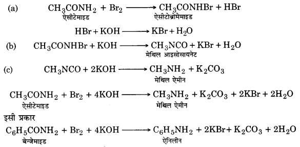 UP Board Solutions for Class 12 Chemistry Chapter 13 Amines 34