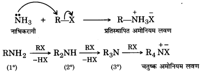 UP Board Solutions for Class 12 Chemistry Chapter 13 Amines 36