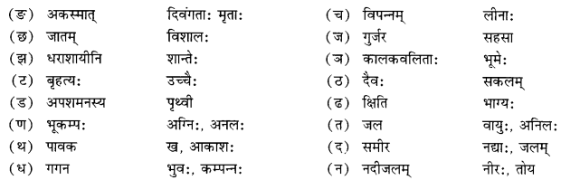 NCERT Solutions for Class 10 Sanskrit Shemushi Chapter 10 भूकंपविभीषिका Additional Q4.1