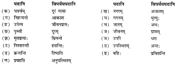 NCERT Solutions for Class 10 Sanskrit Shemushi Chapter 10 भूकंपविभीषिका Additional Q5