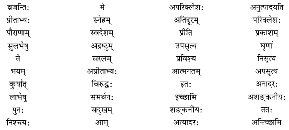 NCERT Solutions for Class 10 Sanskrit Shemushi Chapter 11 प्राणेभ्योऽपि प्रियः सुह्रद् Additional Q9.1