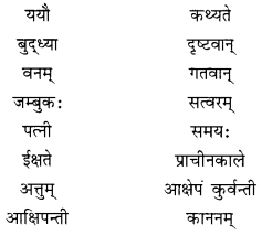 NCERT Solutions for Class 10 Sanskrit Shemushi Chapter 2 बुद्धिर्बलवती सदा Additional Q6.1