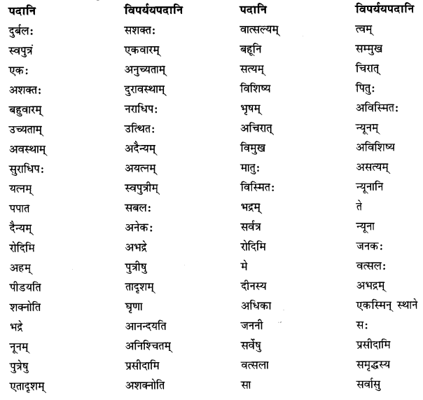 NCERT Solutions for Class 10 Sanskrit Shemushi Chapter 5 जननी तुल्यवत्सला Additional Q10