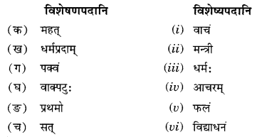 NCERT Solutions for Class 10 Sanskrit Shemushi Chapter 9 सूक्तयः Additional Q7