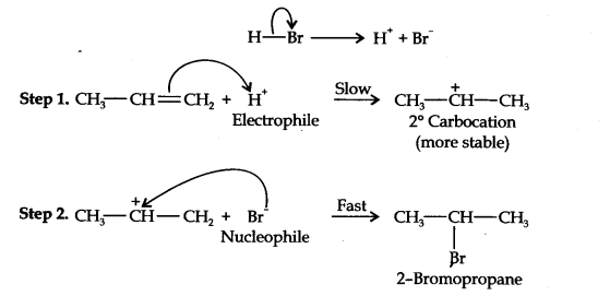 ncert-solutions-class-11th-chemistry-chapter-13-hydrocarbons-26