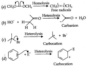 cbse-class-11th-chemistry-organic-chemistry-basic-principles-techniques-13