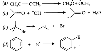 cbse-class-11th-chemistry-organic-chemistry-basic-principles-techniques-11