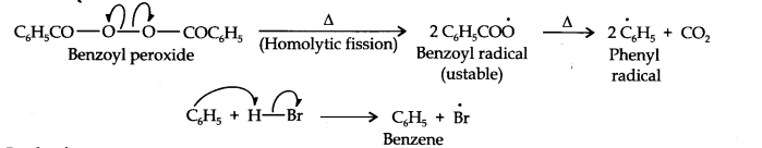 ncert-solutions-class-11th-chemistry-chapter-13-hydrocarbons-27