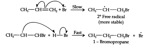 ncert-solutions-class-11th-chemistry-chapter-13-hydrocarbons-28