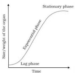 Sigmoid curve Graph 