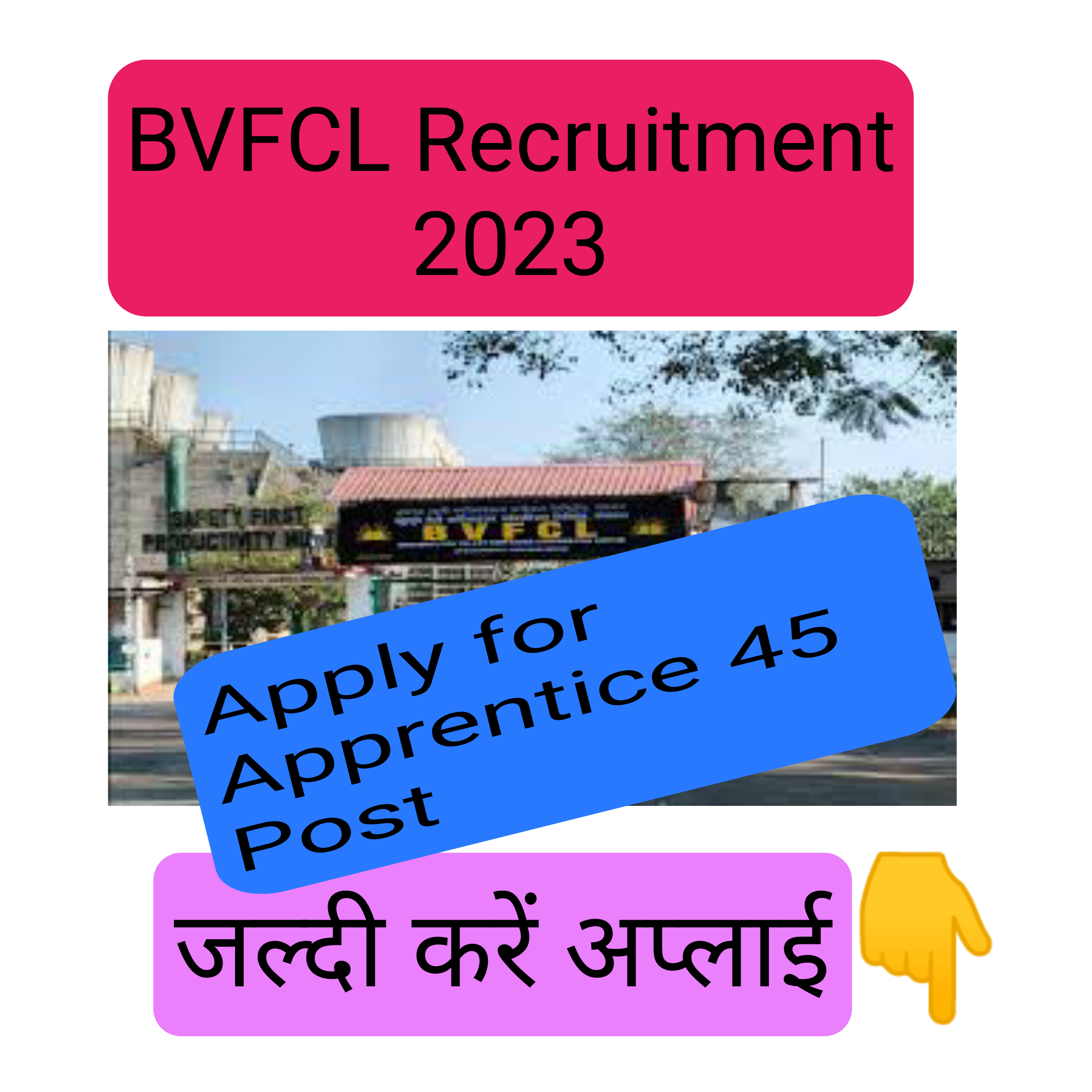 BVFCL Recruitment 2023 |Apply for Apprentice 45 Post